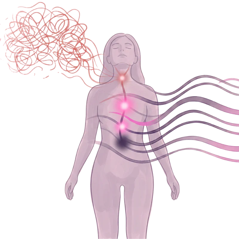 Nervous system reset