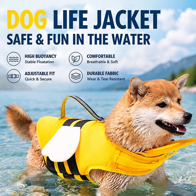 Keep your pup safe — and adorable — in the water
